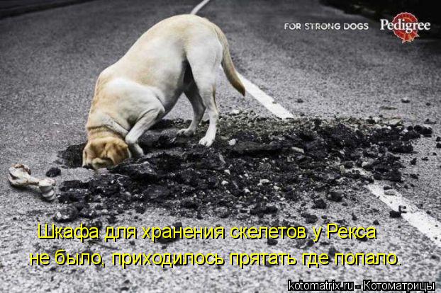 не было, приходилось прятать где попало. Шкафа для хранения скелетов у Рекса... Котоматрица: не было, приходилось прятать где попало. Шкафа для хранения скелетов у Рекса
