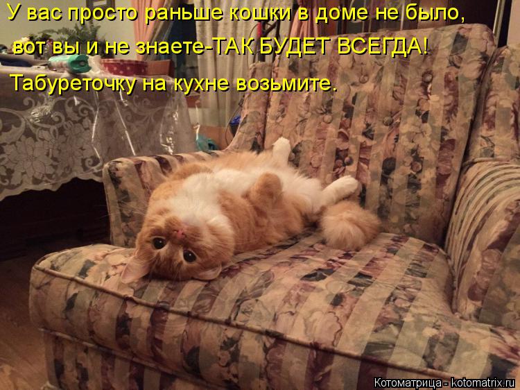 У вас просто раньше кошки в доме не было, вот вы и не знаете-ТАК БУДЕТ ВСЕГДА! Табуреточку на кухне в... Котоматрица: У вас просто раньше кошки в доме не было, вот вы и не знаете-ТАК БУДЕТ ВСЕГДА! Табуреточку на кухне возьмите.