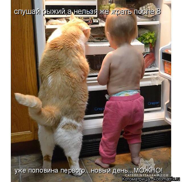 слушай рыжий,а нельзя же жрать после 8 уже половина первого...новый день...МОЖНО!... Котоматрица: слушай рыжий,а нельзя же жрать после 8 уже половина первого...новый день...МОЖНО!