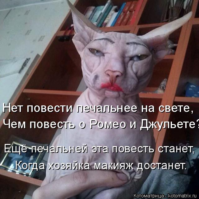 Нет повести печальнее на свете, Чем повесть о Ромео и Джульете? Ещё печальней эта повесть станет, Ког... Котоматрица: Нет повести печальнее на свете, Чем повесть о Ромео и Джульете? Ещё печальней эта повесть станет, Когда хозяйка макияж достанет.