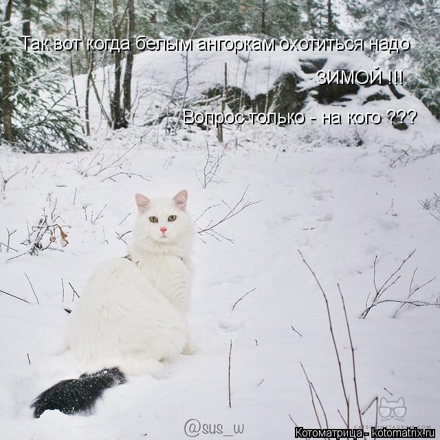 Котоматрица: Вопрос только - на кого ??? Так вот когда белым ангоркам охотиться надо  Вопрос только - на кого ??? ЗИМОЙ !!!