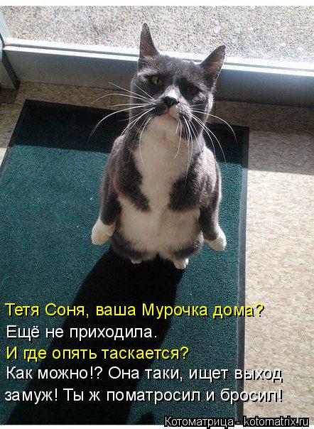 Тетя Соня, ваша Мурочка дома? Ещё не приходила. И где опять таскается? Как можно!? Она таки, ищет вых... Котоматрица: Тетя Соня, ваша Мурочка дома? Ещё не приходила. И где опять таскается? Как можно!? Она таки, ищет выход замуж! Ты ж поматросил и бросил!