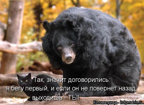Так, значит договорились: я бегу первый, и если он не повернет назад, выходишь - ТЫ!... Котоматрица: Так, значит договорились: я бегу первый, и если он не повернет назад, выходишь - ТЫ!