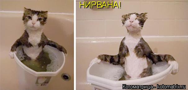 НИРВАНА!... Котоматрица: НИРВАНА!