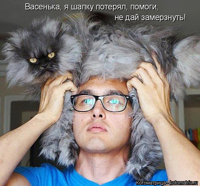 Васенька, я шапку потерял, помоги, не дай замерзнуть!... Котоматрица: Васенька, я шапку потерял, помоги, не дай замерзнуть!