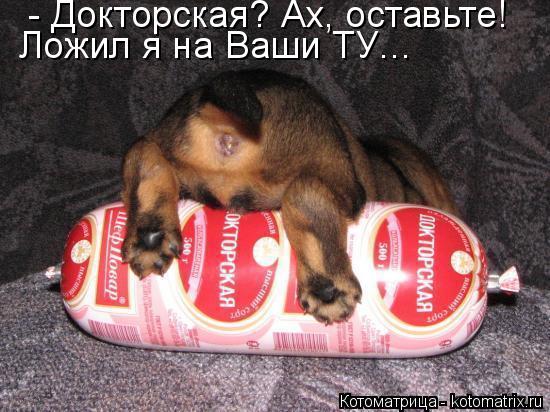 - Докторская? Ах, оставьте! Ложил я на Ваши ТУ…... Котоматрица: - Докторская? Ах, оставьте! Ложил я на Ваши ТУ…