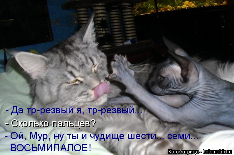 - Да тр-резвый я, тр-резвый... - Сколько пальцев? - Ой, Мур, ну ты и чудище шести... семи... ВОСЬМИПА... Котоматрица: - Да тр-резвый я, тр-резвый... - Сколько пальцев? - Ой, Мур, ну ты и чудище шести... семи... ВОСЬМИПАЛОЕ!