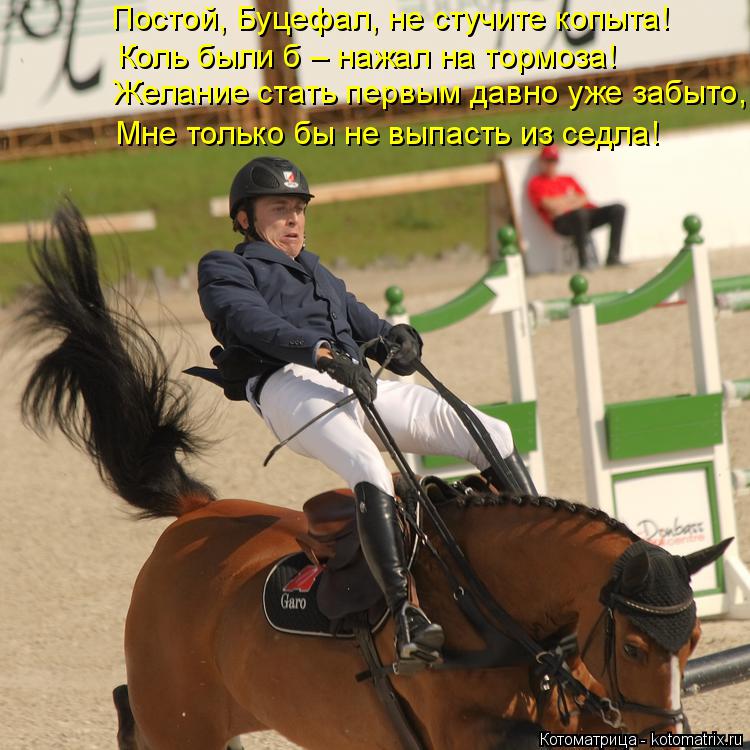 Постой, Буцефал, не стучите копыта! Коль были б – нажал на тормоза! Желание стать первым давно уже за... Котоматрица: Постой, Буцефал, не стучите копыта! Коль были б – нажал на тормоза! Желание стать первым давно уже забыто, Мне только бы не выпасть из седла!
