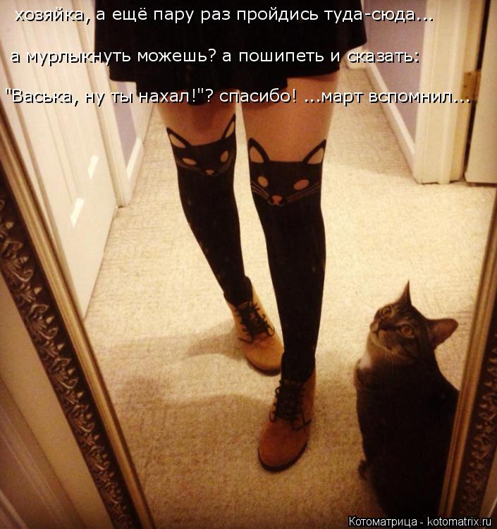 хозяйка, а ещё пару раз пройдись туда-сюда... "Васька, ну ты нахал!"? спасибо! ...март вспомнил... а ... Котоматрица: хозяйка, а ещё пару раз пройдись туда-сюда... "Васька, ну ты нахал!"? спасибо! ...март вспомнил... а мурлыкнуть можешь? а пошипеть и сказать: