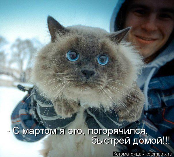 - С мартом я это, погорячился, быстрей домой!!!... Котоматрица: - С мартом я это, погорячился, быстрей домой!!!