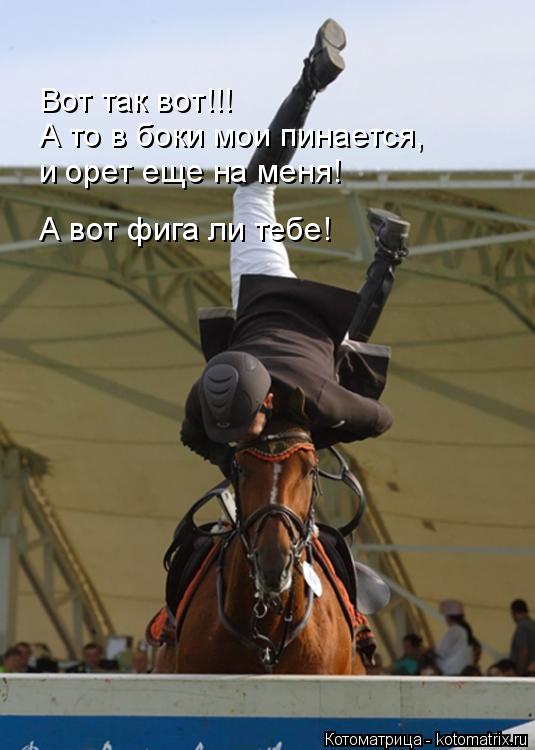 Вот так вот!!! А то в боки мои пинается, и орет еще на меня! А вот фига ли тебе!... Котоматрица: Вот так вот!!! А то в боки мои пинается, и орет еще на меня! А вот фига ли тебе!
