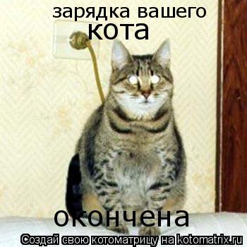 зарядка вашего кота окончена... Котоматрица: зарядка вашего кота окончена