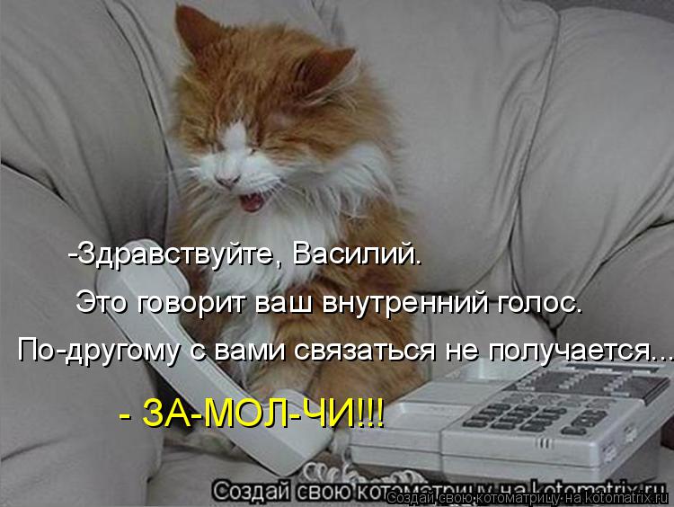 -Здравствуйте, Василий. Это говорит ваш внутренний голос. По-другому с вами связаться не получается..... Котоматрица: -Здравствуйте, Василий. Это говорит ваш внутренний голос. По-другому с вами связаться не получается... - ЗА-МОЛ-ЧИ!!!