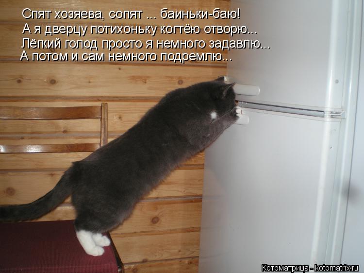 Спят хозяева, сопят ... баиньки-баю! А я дверцу потихоньку когтёю отворю... Лёгкий голод просто я нем... Котоматрица: Спят хозяева, сопят ... баиньки-баю! А я дверцу потихоньку когтёю отворю... Лёгкий голод просто я немного задавлю... А потом и сам немного подре