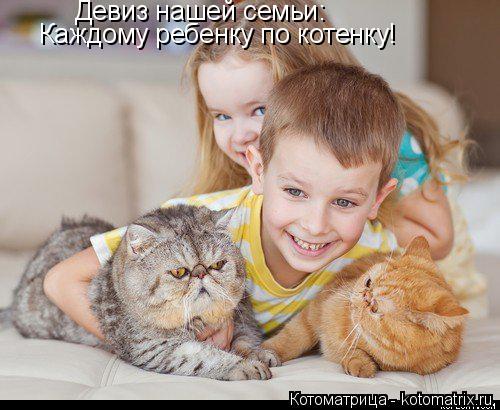 Девиз нашей семьи: Каждому ребенку по котенку!... Котоматрица: Девиз нашей семьи: Каждому ребенку по котенку!