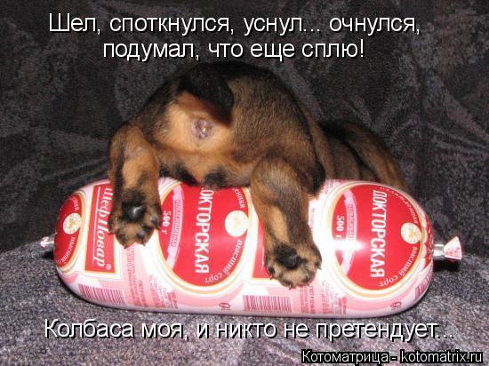 Шел, споткнулся, уснул... очнулся, подумал, что еще сплю! Колбаса моя, и никто не претендует...... Котоматрица: Шел, споткнулся, уснул... очнулся, подумал, что еще сплю! Колбаса моя, и никто не претендует...