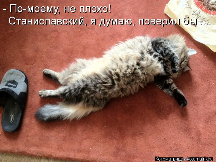 Котоматрица: - По-моему, не плохо! Станиславский, я думаю, поверил бы ...