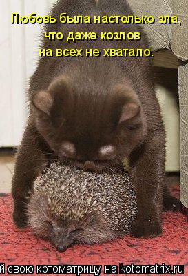 Любовь была настолько зла, что даже козлов на всех не хватало.... Котоматрица: Любовь была настолько зла, что даже козлов на всех не хватало.