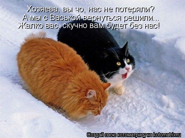 Хозяева, вы чо, нас не потеряли? А мы с Васькой вернуться решили... Жалко вас, скучно вам будет без н... Котоматрица: Хозяева, вы чо, нас не потеряли? А мы с Васькой вернуться решили... Жалко вас, скучно вам будет без нас!