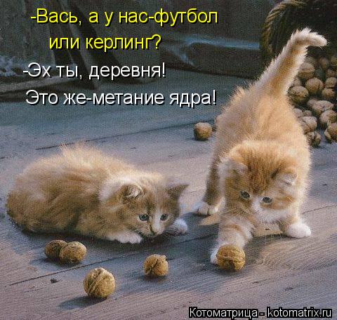 -Вась, а у нас-футбол или керлинг? -Эх ты, деревня! Это же-метание ядра!... Котоматрица: -Вась, а у нас-футбол или керлинг? -Эх ты, деревня! Это же-метание ядра!