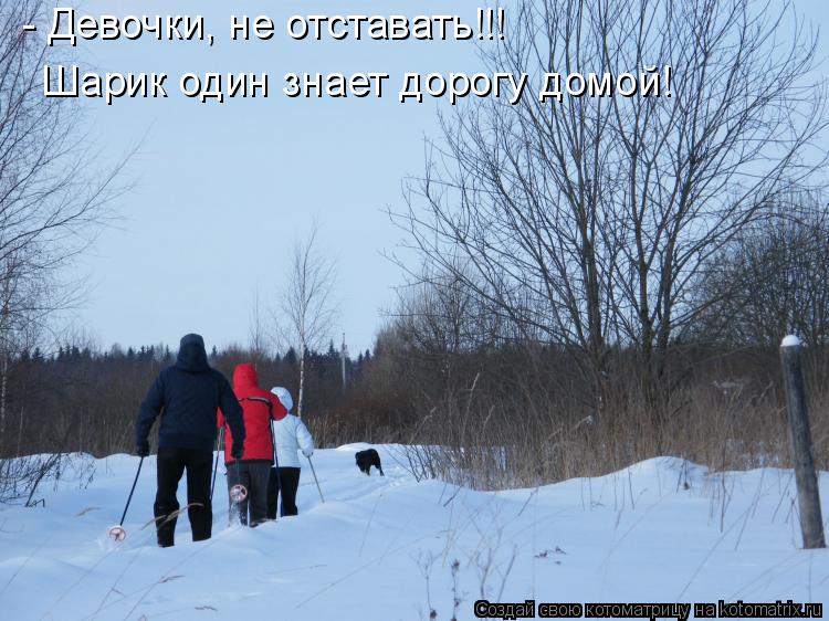 - Девочки, не отставать!!! Шарик один знает дорогу домой!... Котоматрица: - Девочки, не отставать!!! Шарик один знает дорогу домой!