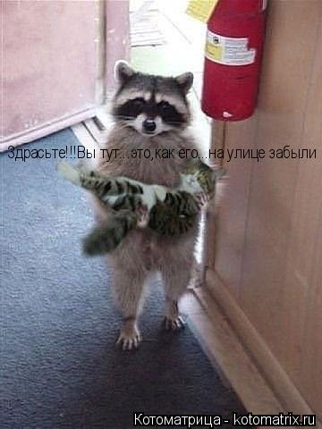 Здрасьте!!!Вы тут...это,как его...на улице забыли... Котоматрица: Здрасьте!!!Вы тут...это,как его...на улице забыли