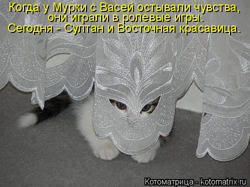 Когда у Мурки с Васей остывали чувства, они играли в ролевые игры. Сегодня - Султан и Восточная краса... Котоматрица: Когда у Мурки с Васей остывали чувства, они играли в ролевые игры. Сегодня - Султан и Восточная красавица.