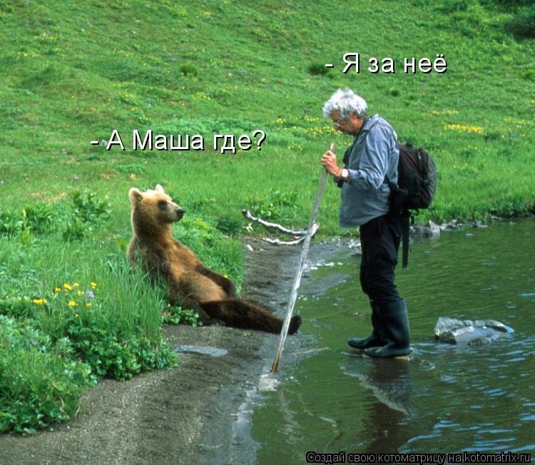 - А Маша где? - Я за неё... Котоматрица: - А Маша где? - Я за неё