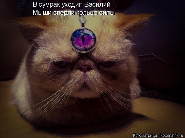 В сумрак уходил Василий - Мыши сперли кольцо силы... Котоматрица: В сумрак уходил Василий - Мыши сперли кольцо силы