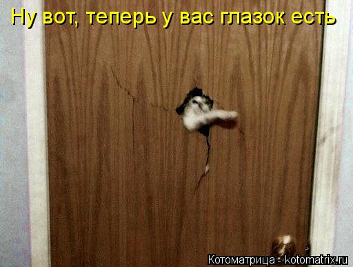 Котоматрица: Ну вот, теперь у вас глазок есть