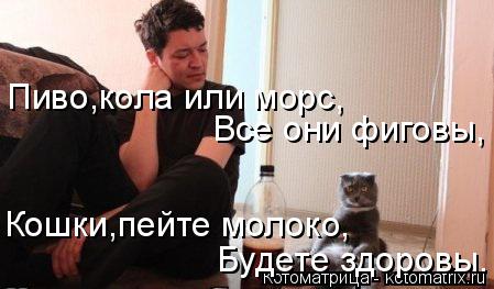 Все они фиговы, Будете здоровы. Кошки,пейте молоко, Пиво,кола или морс,... Котоматрица: Все они фиговы, Будете здоровы. Кошки,пейте молоко, Пиво,кола или морс,