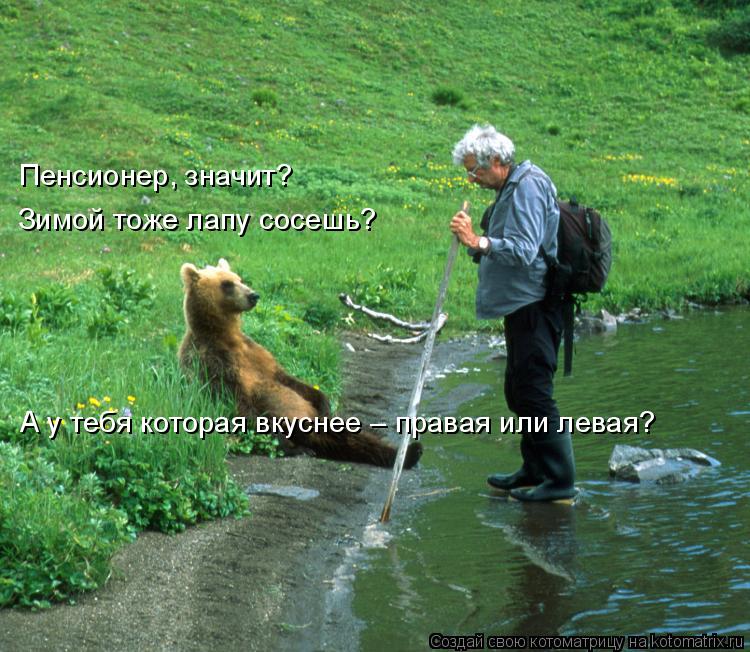 Пенсионер, значит? Зимой тоже лапу сосешь? А у тебя которая вкуснее – правая или левая?... Котоматрица: Пенсионер, значит? Зимой тоже лапу сосешь? А у тебя которая вкуснее – правая или левая?