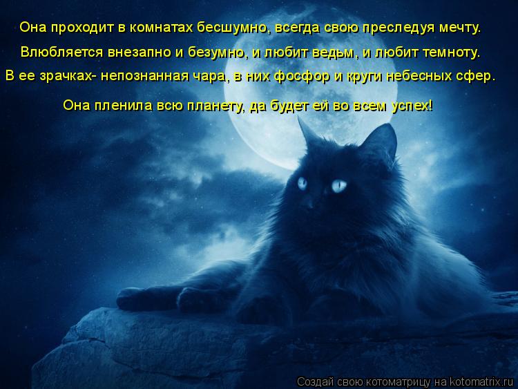 Котоматрица: Она проходит в комнатах бесшумно, всегда свою преследуя мечту. Влюбляется внезапно и безумно, и любит ведьм, и любит темноту. В ее зрачках- н