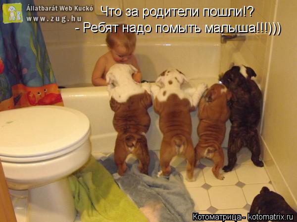 Что за родители пошли!? - Ребят надо помыть малыша!!!)))... Котоматрица: Что за родители пошли!? - Ребят надо помыть малыша!!!)))