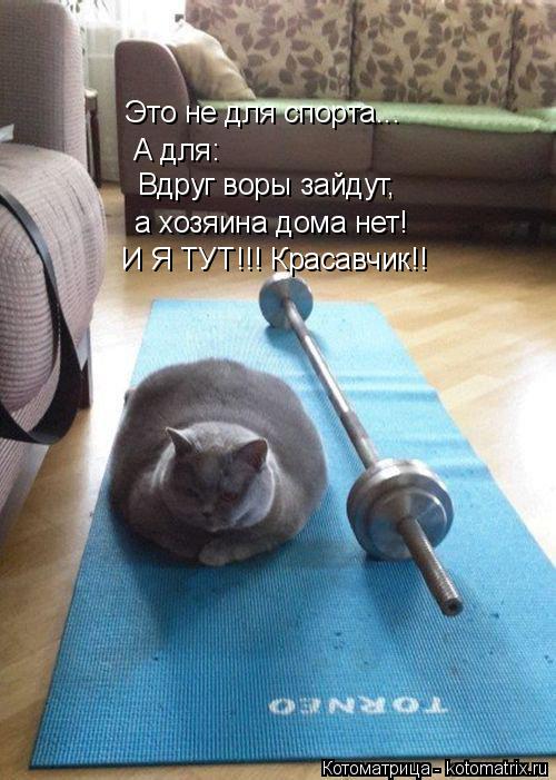Это не для спорта... А для: Вдруг воры зайдут, а хозяина дома нет! И Я ТУТ!!! Красавчик!!... Котоматрица: Это не для спорта... А для: Вдруг воры зайдут, а хозяина дома нет! И Я ТУТ!!! Красавчик!!