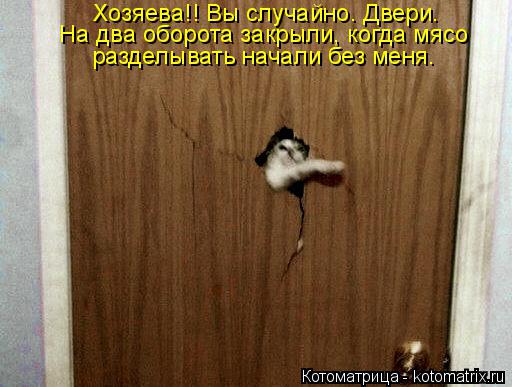 Хозяева!! Вы случайно. Двери. На два оборота закрыли, когда мясо разделывать начали без меня.... Котоматрица: Хозяева!! Вы случайно. Двери. На два оборота закрыли, когда мясо разделывать начали без меня.