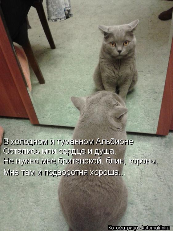 В холодном и туманном Альбионе Остались мои сердце и душа, Не нужно мне британской, блин, короны, Мне... Котоматрица: В холодном и туманном Альбионе Остались мои сердце и душа, Не нужно мне британской, блин, короны, Мне там и подворотня хороша...
