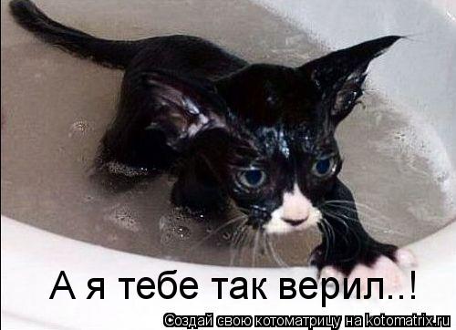 А я тебе так верил..!... Котоматрица: А я тебе так верил..!