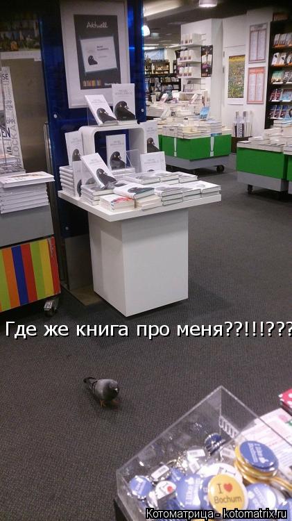 Где же книга про меня??!!!???!!!... Котоматрица: Где же книга про меня??!!!???!!!
