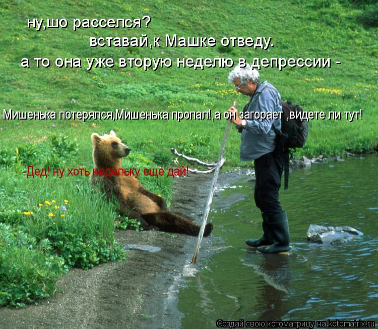 ну,шо расселся? вставай,к Машке отведу. а то она уже вторую неделю в депрессии - Мишенька потерялся,М... Котоматрица: ну,шо расселся? вставай,к Машке отведу. а то она уже вторую неделю в депрессии - Мишенька потерялся,Мишенька пропал!,а он загорает ,видете ли