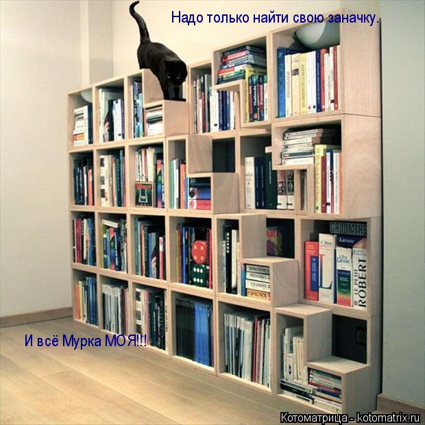 Надо только найти свою заначку. И всё Мурка МОЯ!!!... Котоматрица: Надо только найти свою заначку. И всё Мурка МОЯ!!!