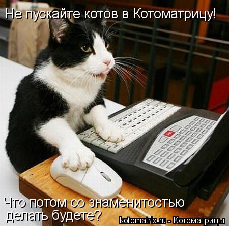 Котоматрица: Не пускайте котов в Котоматрицу! Что потом со знаменитостью делать будете? Что потом со знаменитостью делать будете?