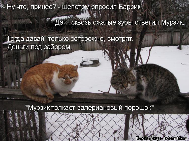 - Ну что, принес? - шепотом спросил Барсик. - Да, - сквозь сжатые зубы ответил Мурзик. - Tогда давай,... Котоматрица: - Ну что, принес? - шепотом спросил Барсик. - Да, - сквозь сжатые зубы ответил Мурзик. - Tогда давай, только осторожно, смотрят. Деньги под заборо