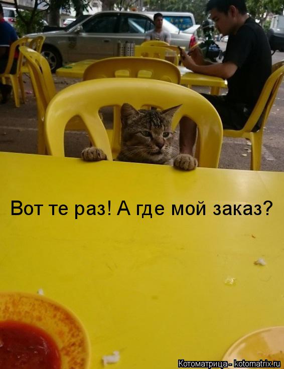 Вот те раз! А где мой заказ?... Котоматрица: Вот те раз! А где мой заказ?