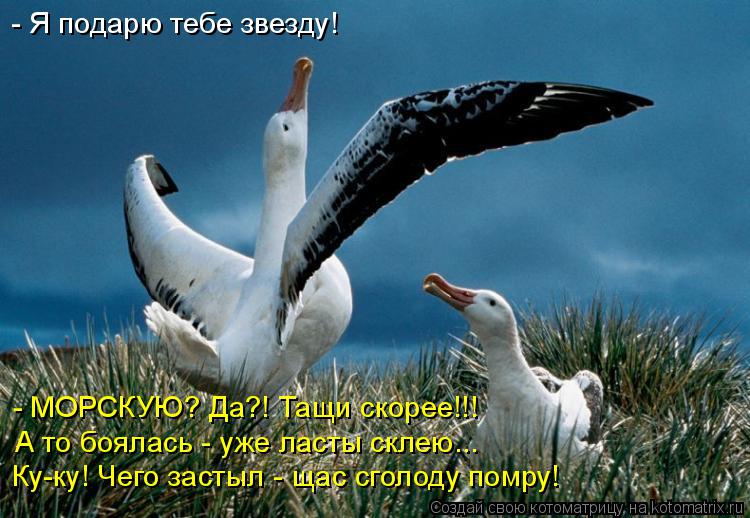 - Я подарю тебе звезду! - МОРСКУЮ? Да?! Тащи скорее!!! А то боялась - уже ласты склею... Ку-ку! Чего ... Котоматрица: - Я подарю тебе звезду! - МОРСКУЮ? Да?! Тащи скорее!!! А то боялась - уже ласты склею... Ку-ку! Чего застыл - щас сголоду помру!