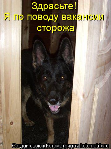 Здрасьте! Я по поводу вакансии сторожа... Котоматрица: Здрасьте! Я по поводу вакансии сторожа