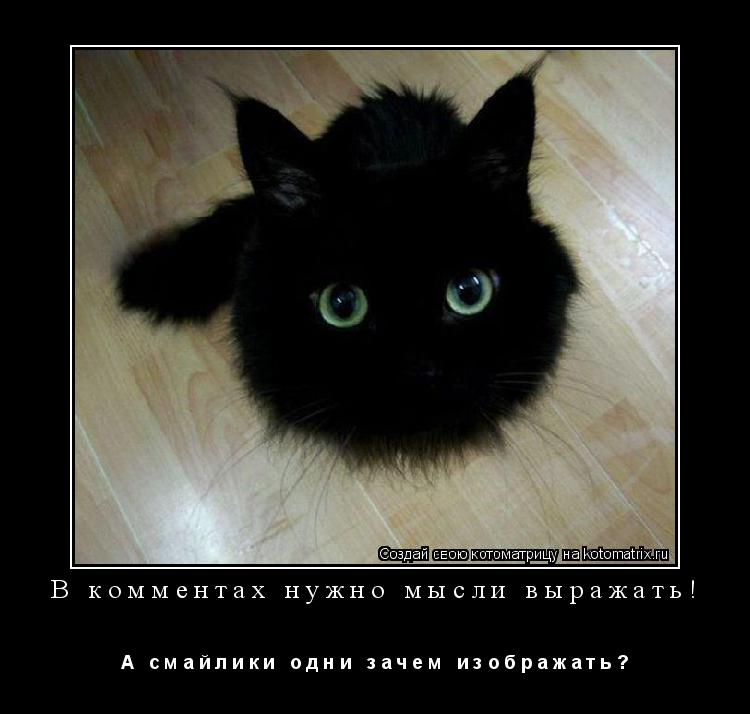 Котоматрица: В комментах нужно мысли выражать!  А   с м а й л и к и   о д н и   з а ч е м   и з о б р а ж а т ь ?