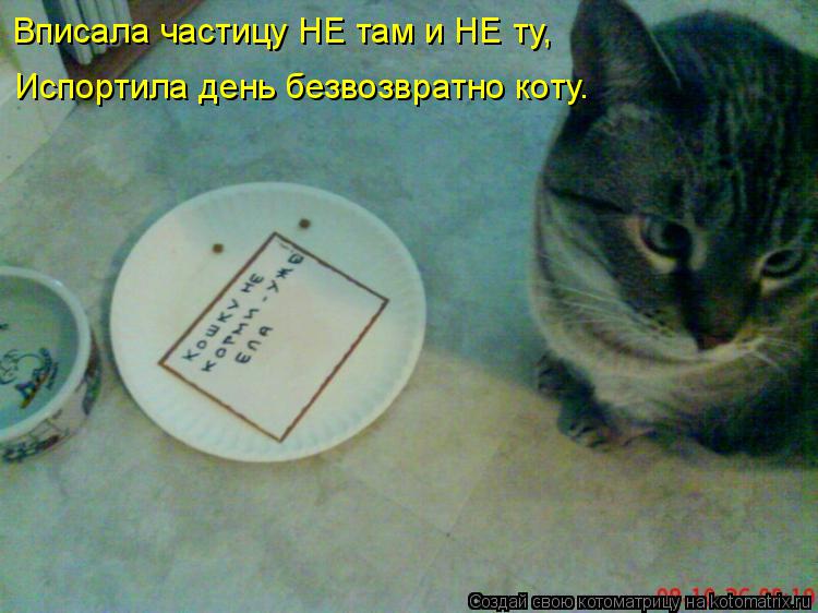Котоматрица: Вписала частицу НЕ там и НЕ ту, Испортила день безвозвратно коту.