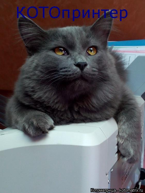 Котоматрица: КОТОпринтер