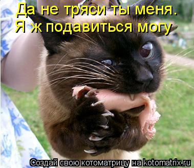 Котоматрица: Да не тряси ты меня. Я ж подавиться могу